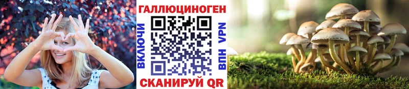 Псилоцибиновые грибы MAGIC MUSHROOMS  дарк нет как зайти  Каменск-Шахтинский 
